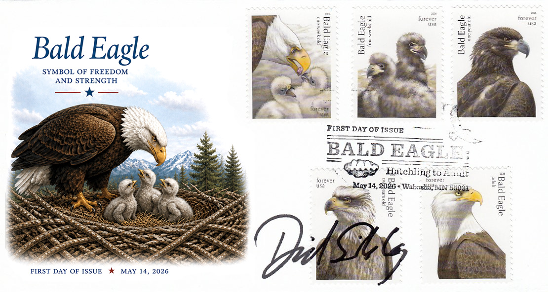 nest fdc
